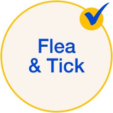 Flea & Tick